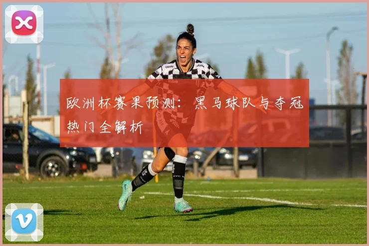 欧洲杯赛果预测：黑马球队与夺冠热门全解析