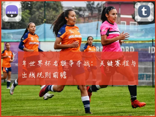 年世界杯名额争夺战：关键赛程与出线规则前瞻